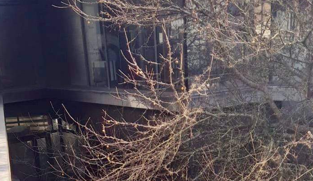 Incendie À La Médiathèque Champollion De Dijon : Premières Informations Incendie À La Médiathèque Champollion De Dijon : Premières Informations