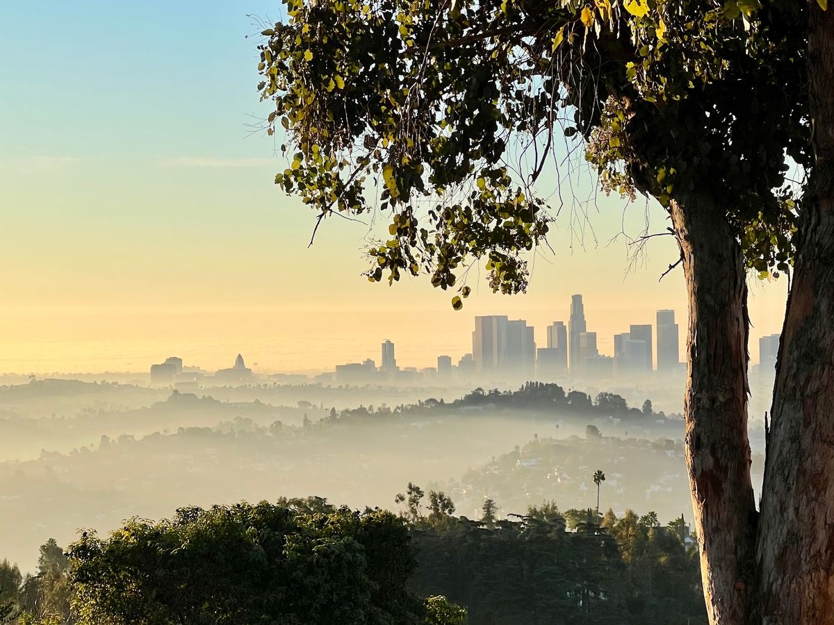 Increased Rent After LA Fires: Is Price Gouging To Blame? Increased Rent After LA Fires: Is Price Gouging To Blame?