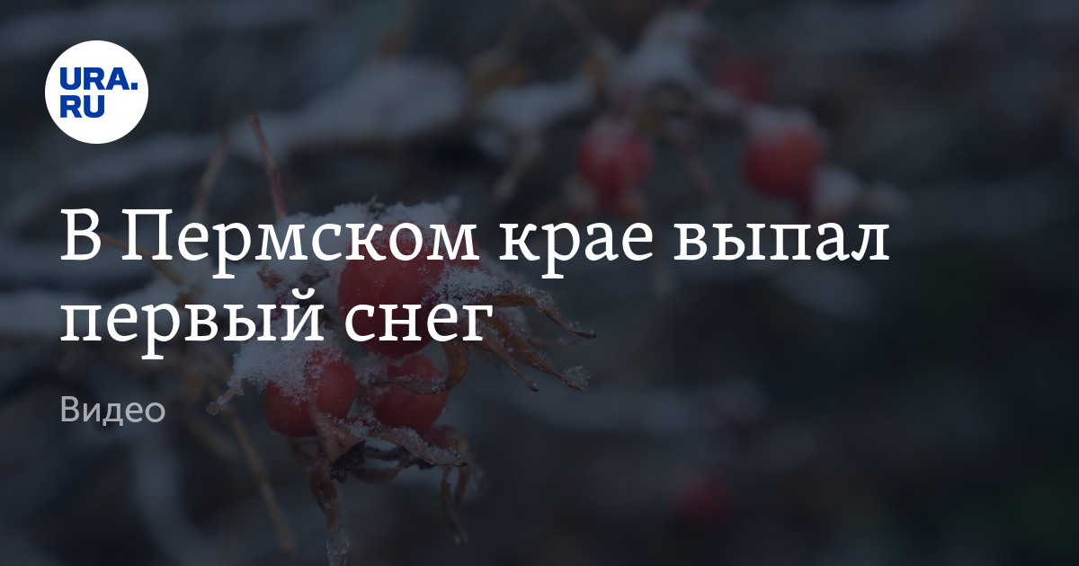 Информация О Закрытии Аэропорта Перми Из-за Снегопада Информация О Закрытии Аэропорта Перми Из-за Снегопада
