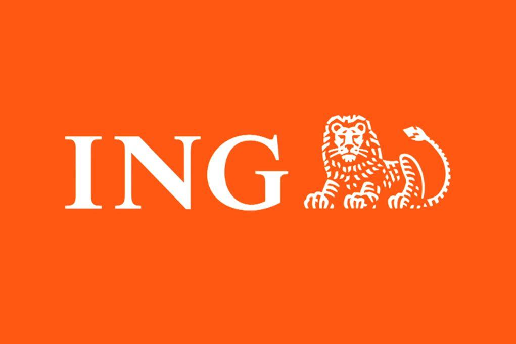 ING Group's 2024 Form 20-F: A Comprehensive Overview ING Group's 2024 Form 20-F: A Comprehensive Overview