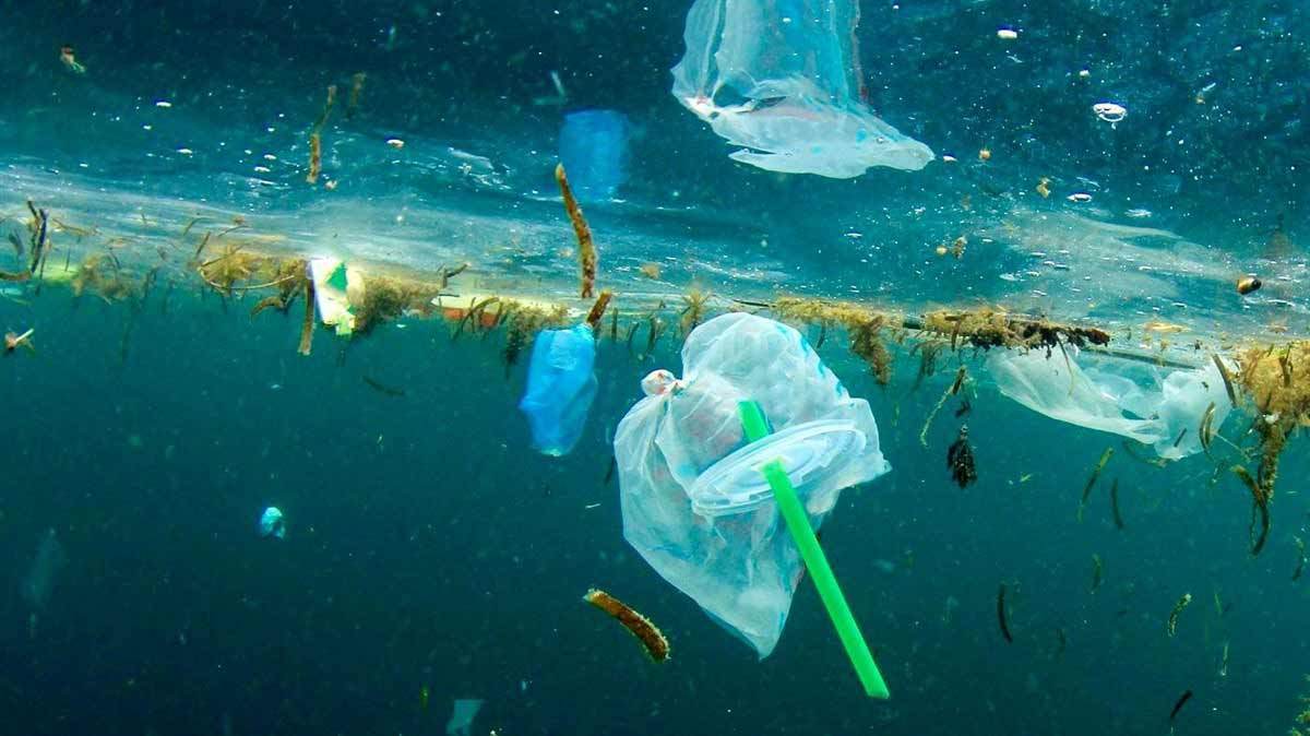 Inquinamento Da Microplastiche: Quali Acque Sono A Rischio? Inquinamento Da Microplastiche: Quali Acque Sono A Rischio?