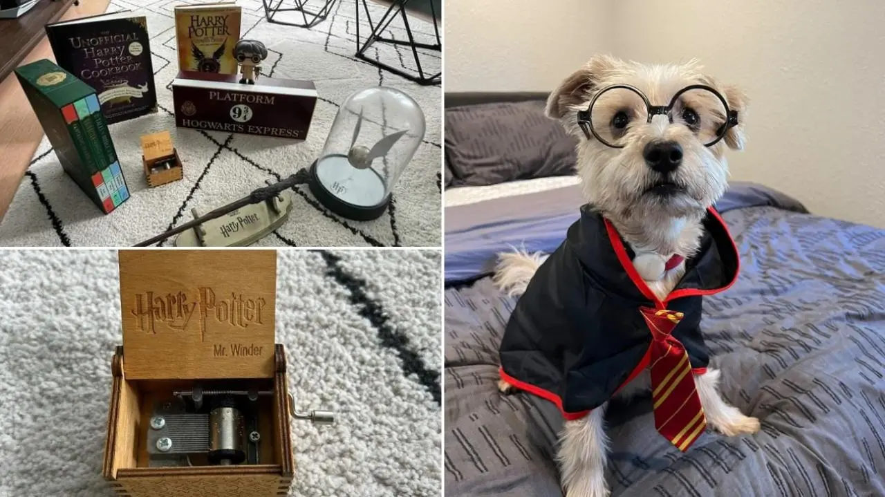 International Harry Potter Day: Your Guide To Online Harry Potter Merchandise International Harry Potter Day: Your Guide To Online Harry Potter Merchandise