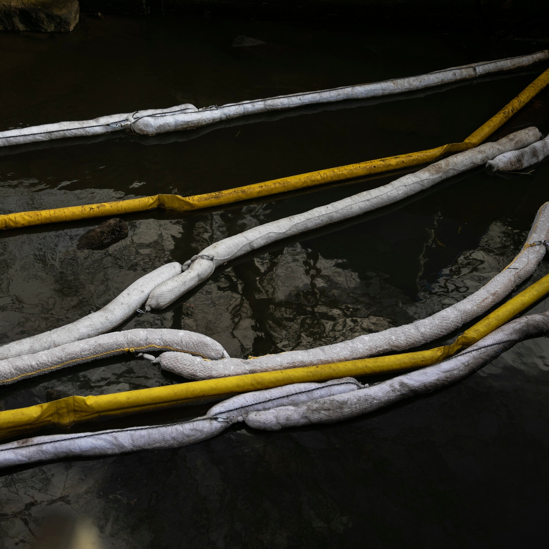 Investigation Reveals Prolonged Presence Of Toxic Chemicals In Ohio Derailment Aftermath Investigation Reveals Prolonged Presence Of Toxic Chemicals In Ohio Derailment Aftermath