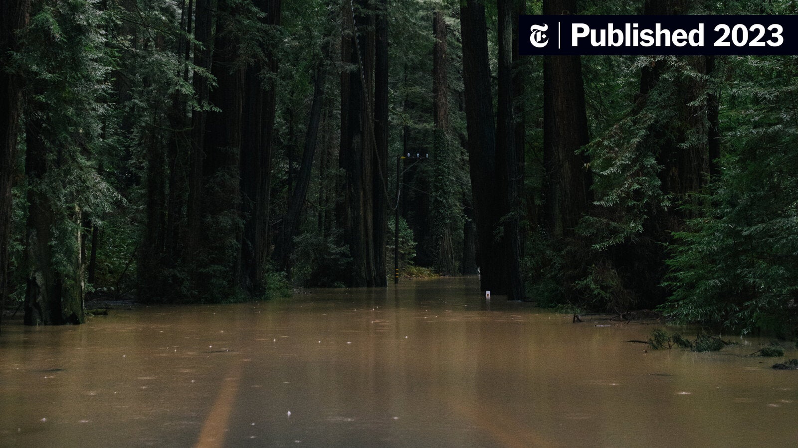 Is Betting On Natural Disasters Like The LA Wildfires The New Normal? Is Betting On Natural Disasters Like The LA Wildfires The New Normal?
