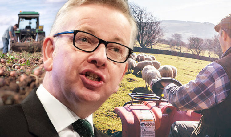 Is Reform UK The Right Choice For Farmers? Examining Their Agricultural Policies Is Reform UK The Right Choice For Farmers? Examining Their Agricultural Policies