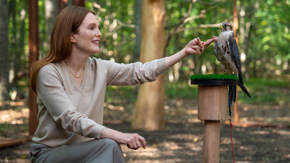 Is This Netflix Dark Comedy With Kevin Bacon And Julianne Moore The Next Big Hit? Is This Netflix Dark Comedy With Kevin Bacon And Julianne Moore The Next Big Hit?