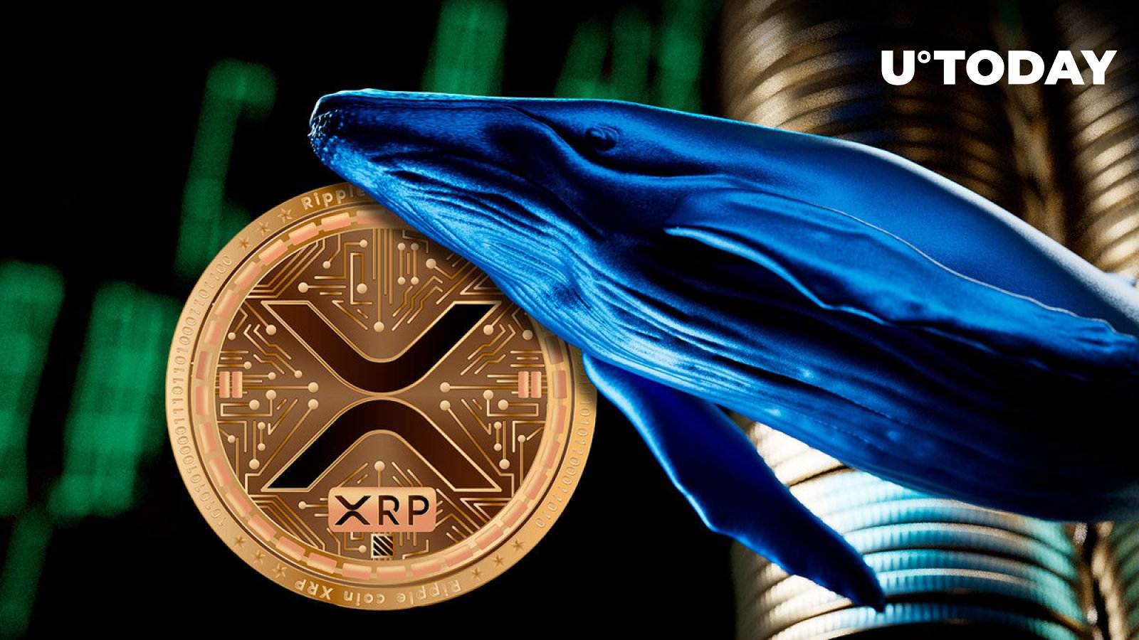 Is This The Start Of A New XRP Bull Run? Whale Buys 20 Million Tokens Is This The Start Of A New XRP Bull Run? Whale Buys 20 Million Tokens
