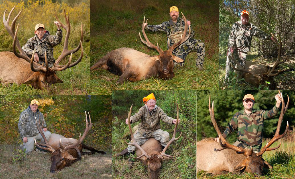 Jackson Elk Hunt Season Changes: Fewer Permits Issued Jackson Elk Hunt Season Changes: Fewer Permits Issued