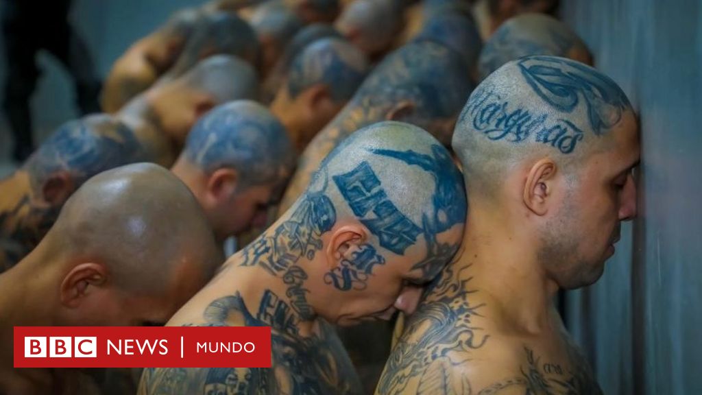 Jeanine Pirro And The El Salvador Deportation Controversy: A Due Process Analysis Jeanine Pirro And The El Salvador Deportation Controversy: A Due Process Analysis