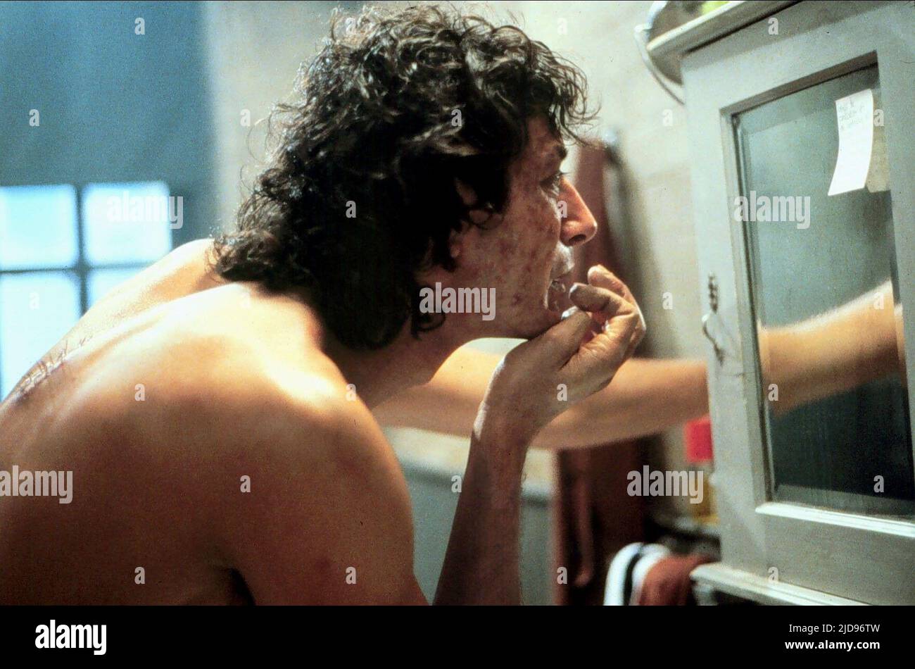 Jeff Goldblum On Altering The Fly's Ending: His Reasons Revealed Jeff Goldblum On Altering The Fly's Ending: His Reasons Revealed