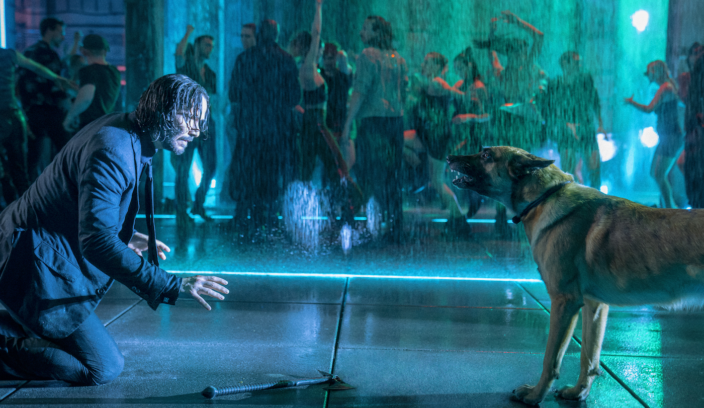 John Wick 5: Can John Wick Really Return From The Dead? John Wick 5: Can John Wick Really Return From The Dead?