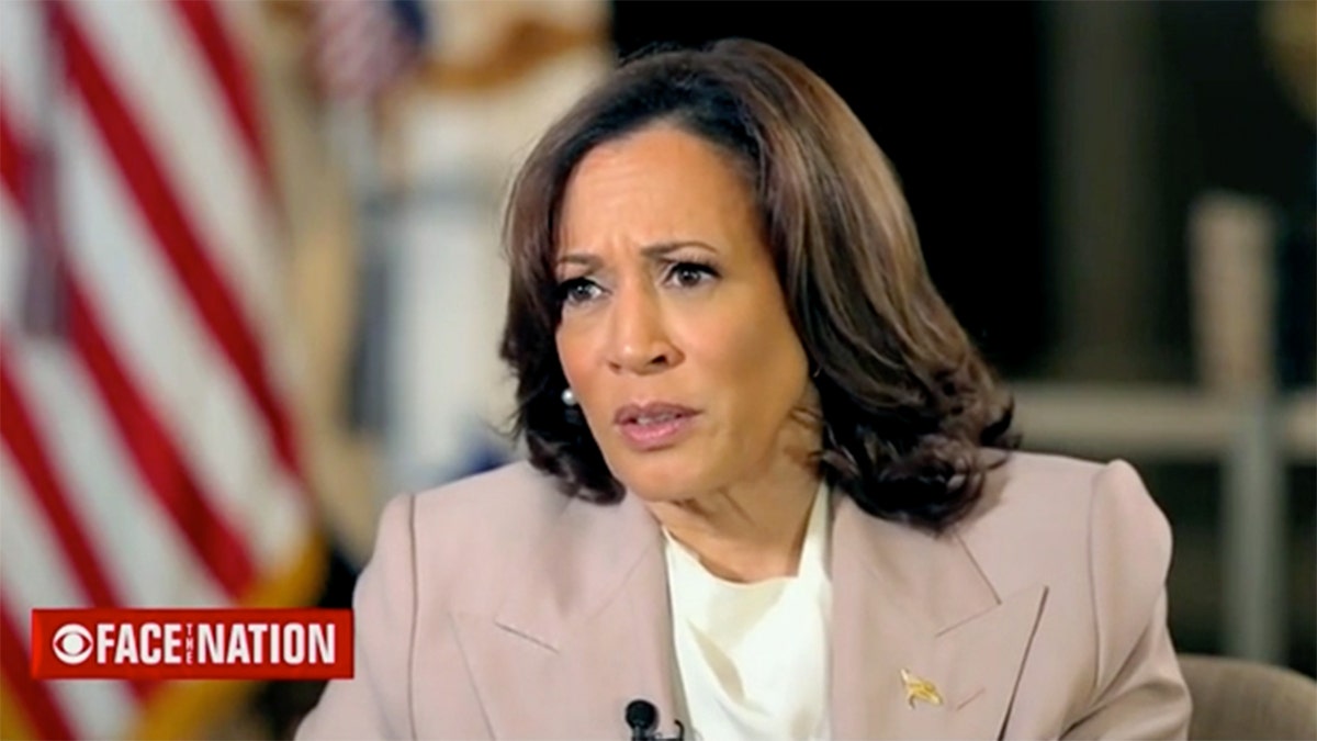Kamala Harris MIA After Election: Democratic Insiders Express Disappointment