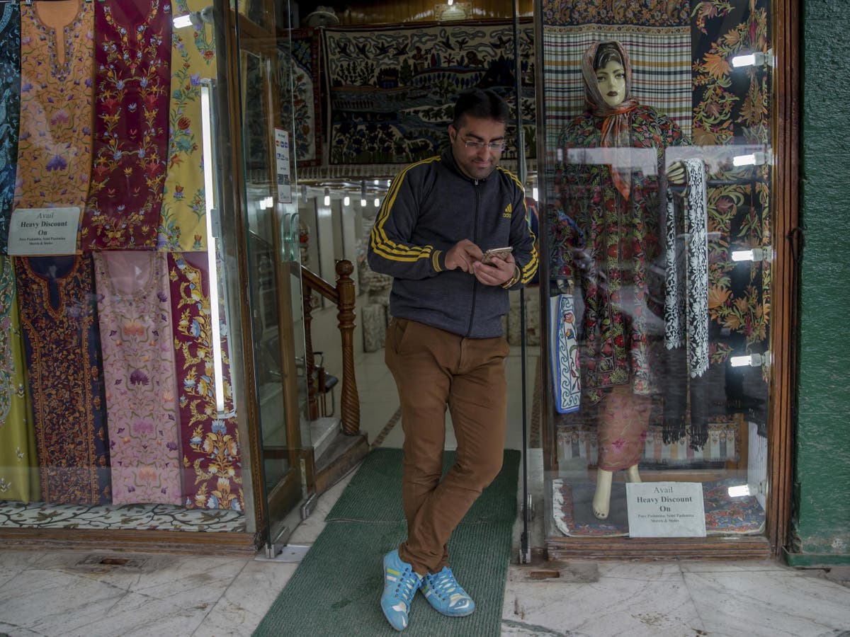 Kashmir Cat Owners Alarmed By Viral Social Media Posts Kashmir Cat Owners Alarmed By Viral Social Media Posts