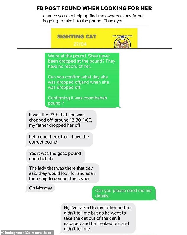Kashmir's Cat Owners Respond To Viral Online Posts Kashmir's Cat Owners Respond To Viral Online Posts