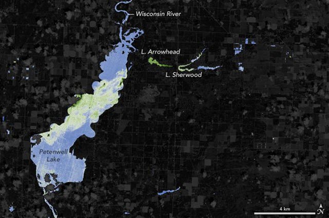 Kodiak Waters: Two Consecutive Harmful Algal Blooms Warn Shellfish Harvesters Kodiak Waters: Two Consecutive Harmful Algal Blooms Warn Shellfish Harvesters