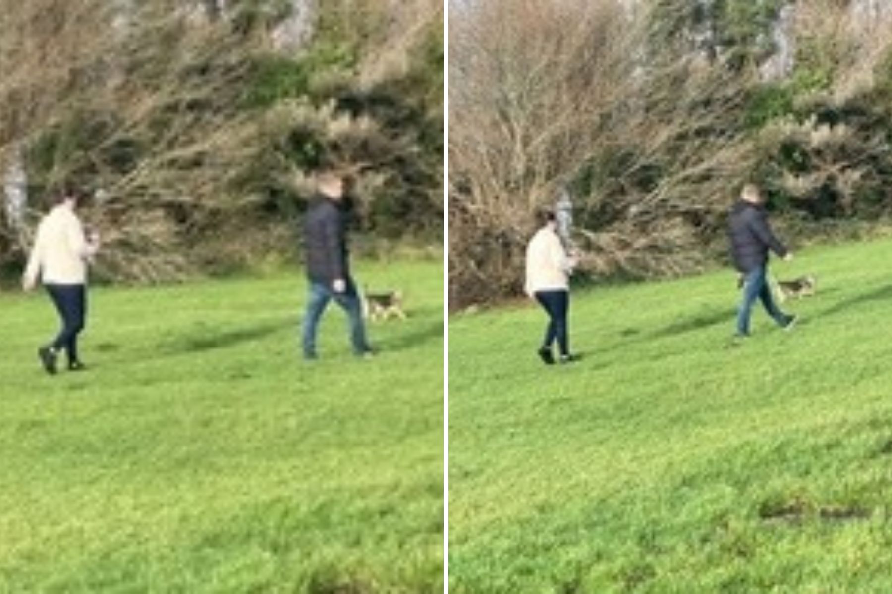 Kyle Vs. Teddi: Dog Walker Confrontation Details Kyle Vs. Teddi: Dog Walker Confrontation Details