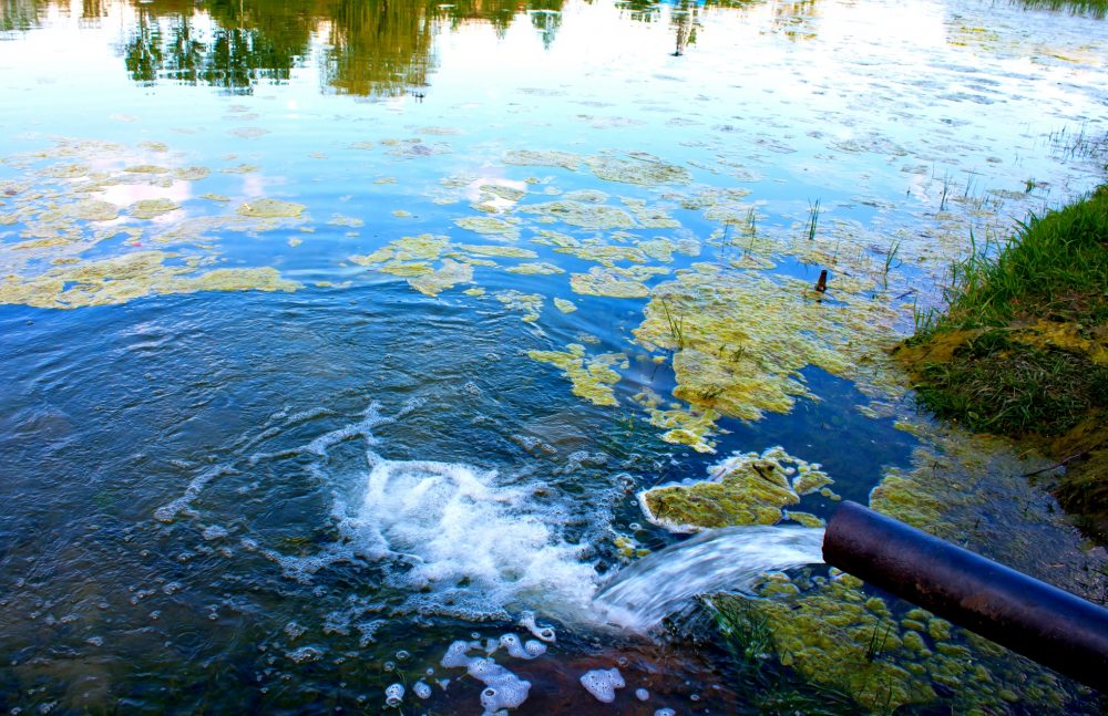 La Contaminazione Da Microplastiche: Un'analisi Delle Acque La Contaminazione Da Microplastiche: Un'analisi Delle Acque