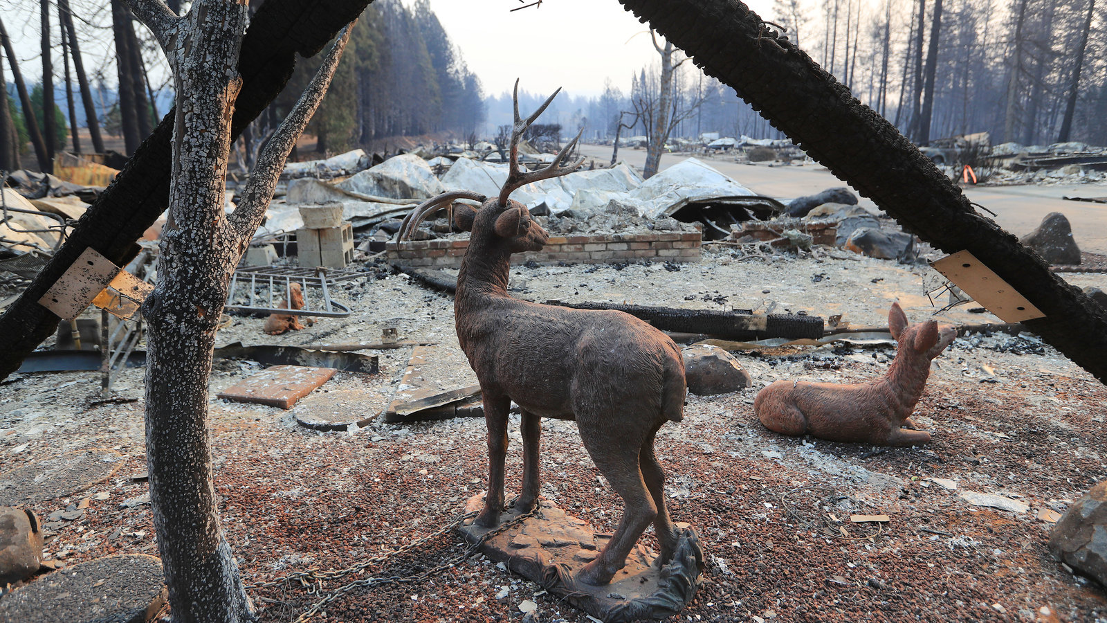 LA Wildfires: A Reflection Of Our Times Through Disaster Betting