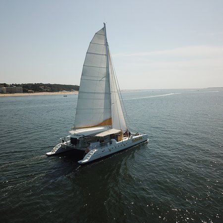Le Tip Top One À Arcachon : Une Histoire De 22 Ans Le Tip Top One À Arcachon : Une Histoire De 22 Ans