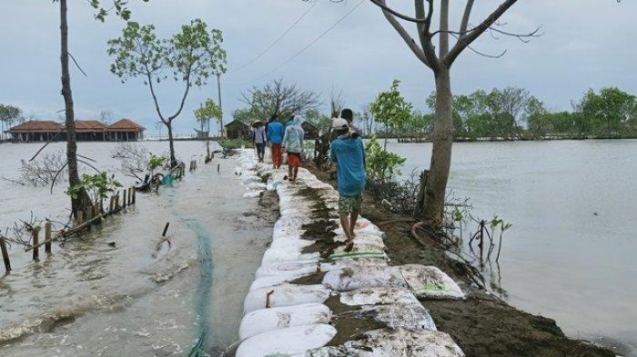 Lindungi Warga Pesisir: DPR Dukung Pembangunan Giant Sea Wall Untuk Perlindungan Pantai Lindungi Warga Pesisir: DPR Dukung Pembangunan Giant Sea Wall Untuk Perlindungan Pantai