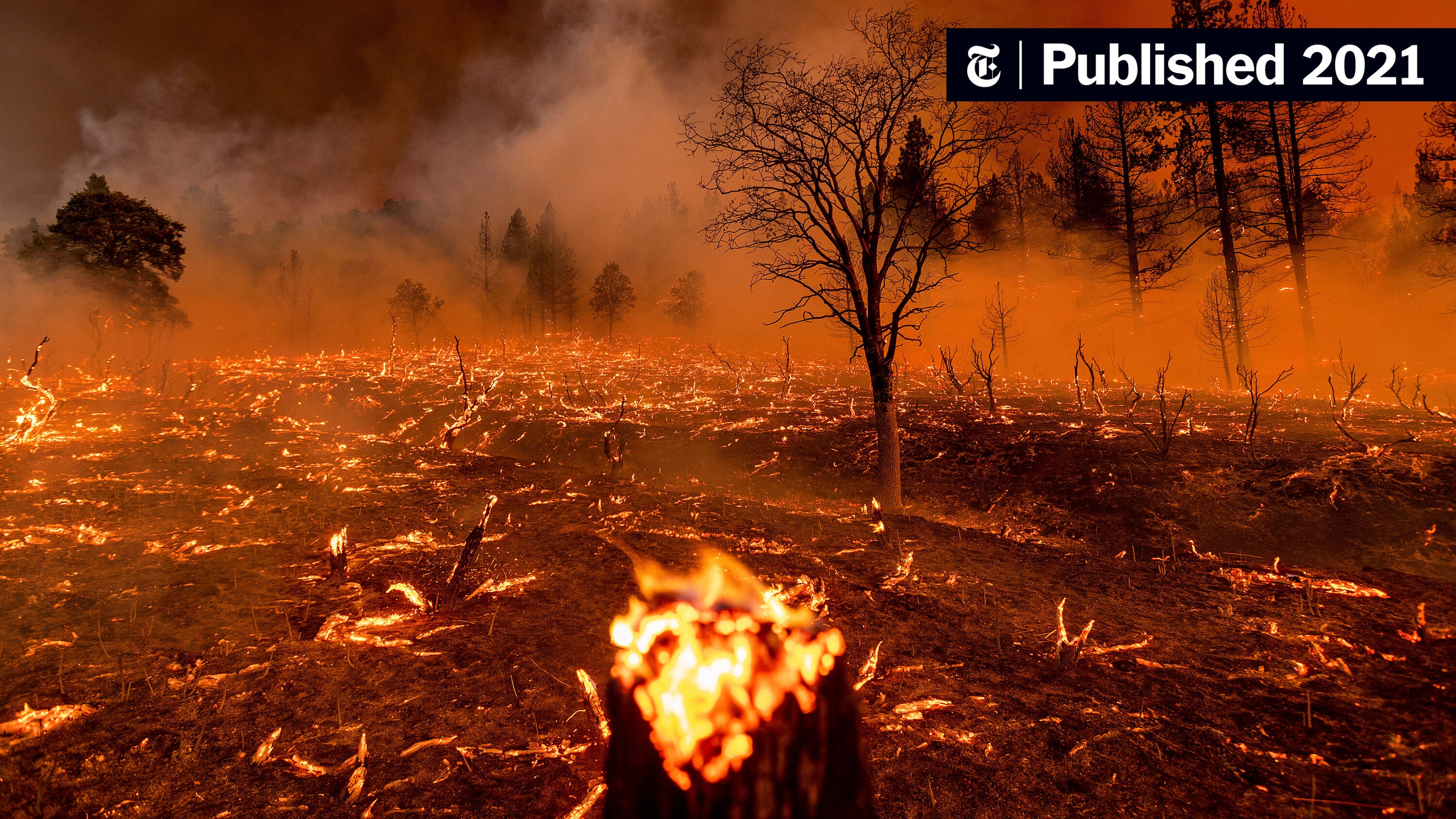 Los Angeles Wildfires: A Reflection Of Our Times Through The Lens Of Gambling Los Angeles Wildfires: A Reflection Of Our Times Through The Lens Of Gambling