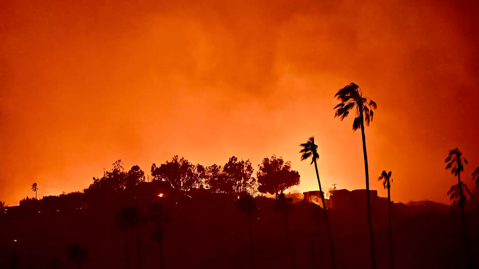 Los Angeles Wildfires: When Disaster Becomes A Betting Opportunity
