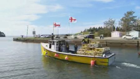 Low Lobster Prices And Global Economic Downturn Impact Atlantic Canada's Fishing Industry Low Lobster Prices And Global Economic Downturn Impact Atlantic Canada's Fishing Industry