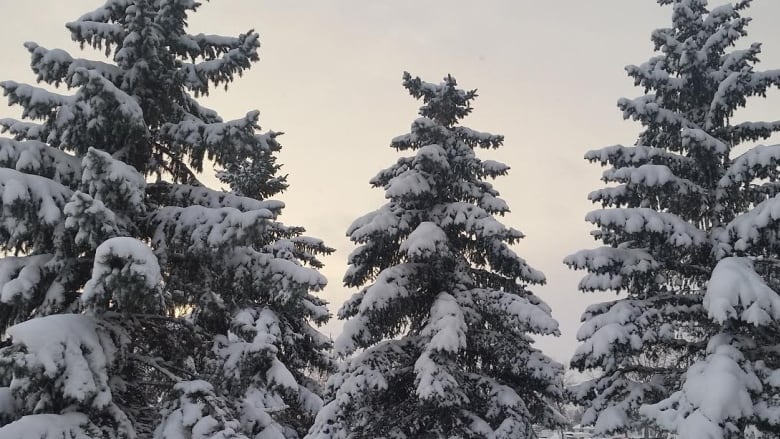 Manitoba Snowfall Warning: 10-20 Cm Expected Tuesday Manitoba Snowfall Warning: 10-20 Cm Expected Tuesday