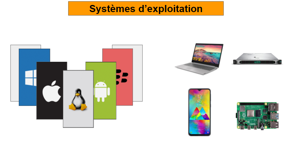 Marc Fiorentino : Exploitation Et Application De La Carte Blanche Marc Fiorentino : Exploitation Et Application De La Carte Blanche