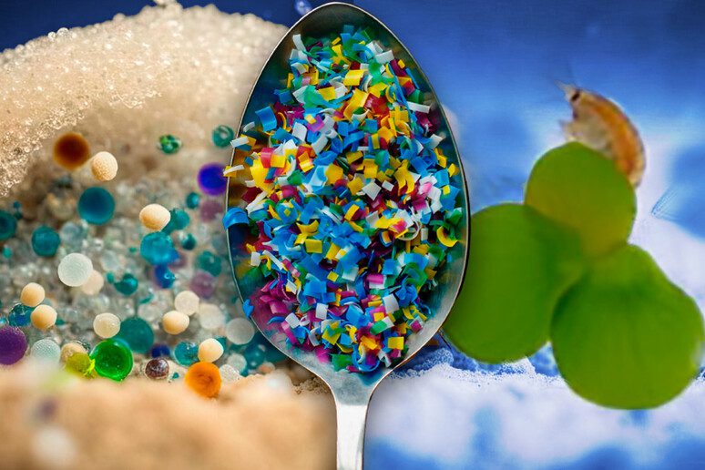 Microplastiche Nell'acqua: Dove Si Concentrano? Microplastiche Nell'acqua: Dove Si Concentrano?