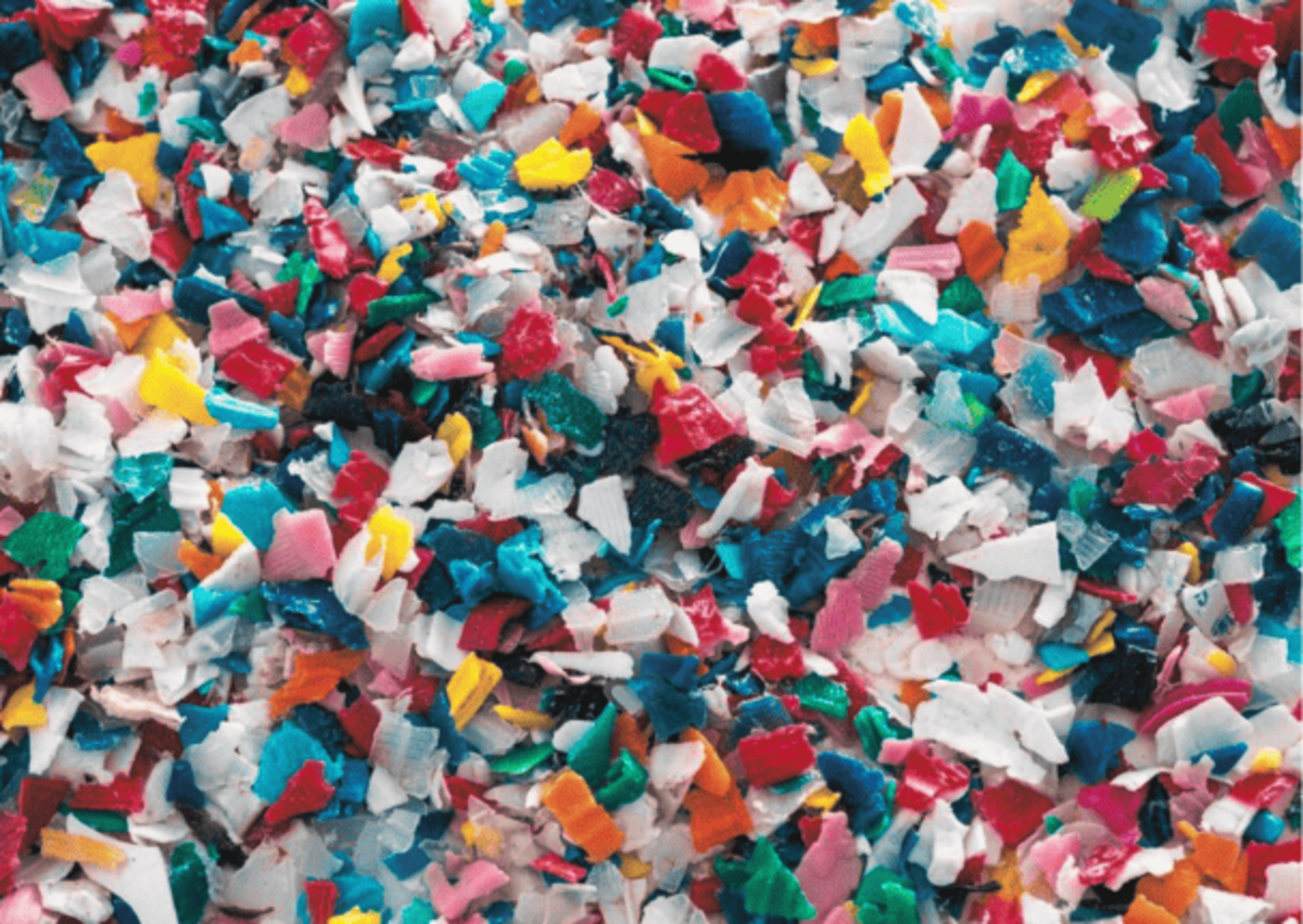 Microplastiche: Quali Acque Sono Più Contaminate? Microplastiche: Quali Acque Sono Più Contaminate?