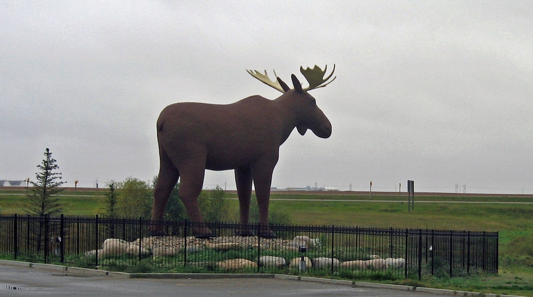 Moose Jaw Bets On Tariffs To Boost Tourism And Investment Moose Jaw Bets On Tariffs To Boost Tourism And Investment