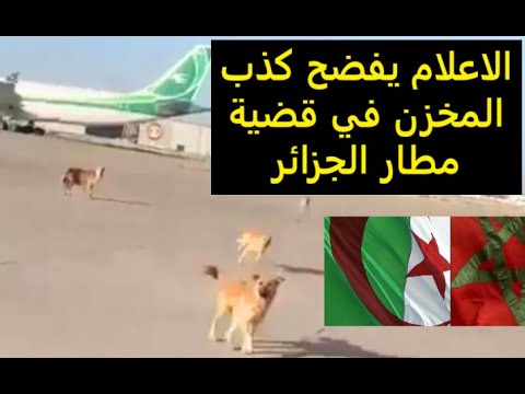 مطار الجزائر: كاميرات المراقبة تُفضح عصابة سرقة حقائب مطار الجزائر: كاميرات المراقبة تُفضح عصابة سرقة حقائب