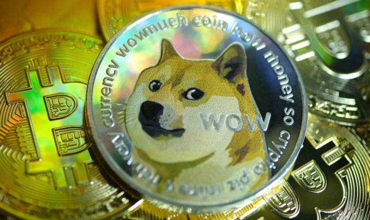Musk's Dogecoin Involvement: No Regrets Despite Trump Administration Musk's Dogecoin Involvement: No Regrets Despite Trump Administration