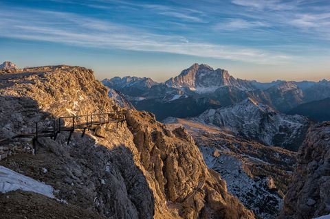 Naturschutz In Sachsen: 190.000 Bäume Im Nationalpark Sächsische Schweiz Gepflanzt Naturschutz In Sachsen: 190.000 Bäume Im Nationalpark Sächsische Schweiz Gepflanzt