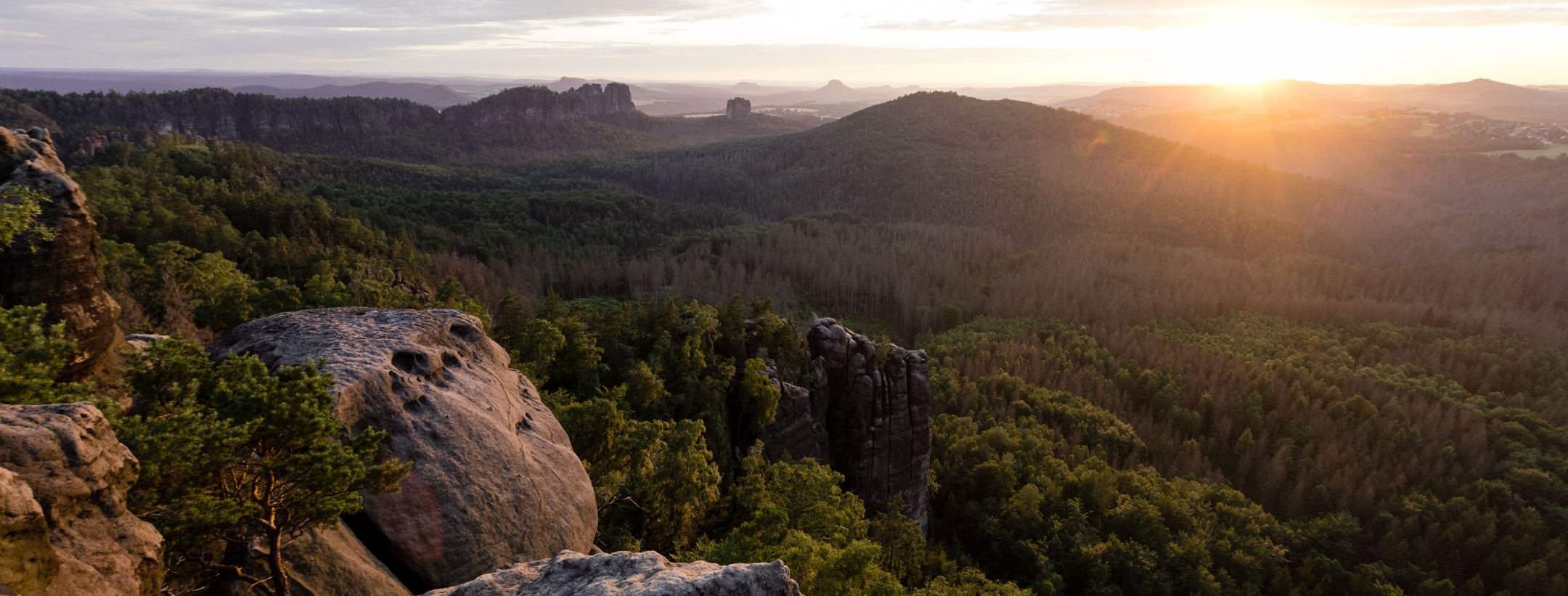 Naturschutzmaßnahmen: 190.000 Bäume Im Nationalpark Sächsische Schweiz Gepflanzt – Ein Erfolg? Naturschutzmaßnahmen: 190.000 Bäume Im Nationalpark Sächsische Schweiz Gepflanzt – Ein Erfolg?