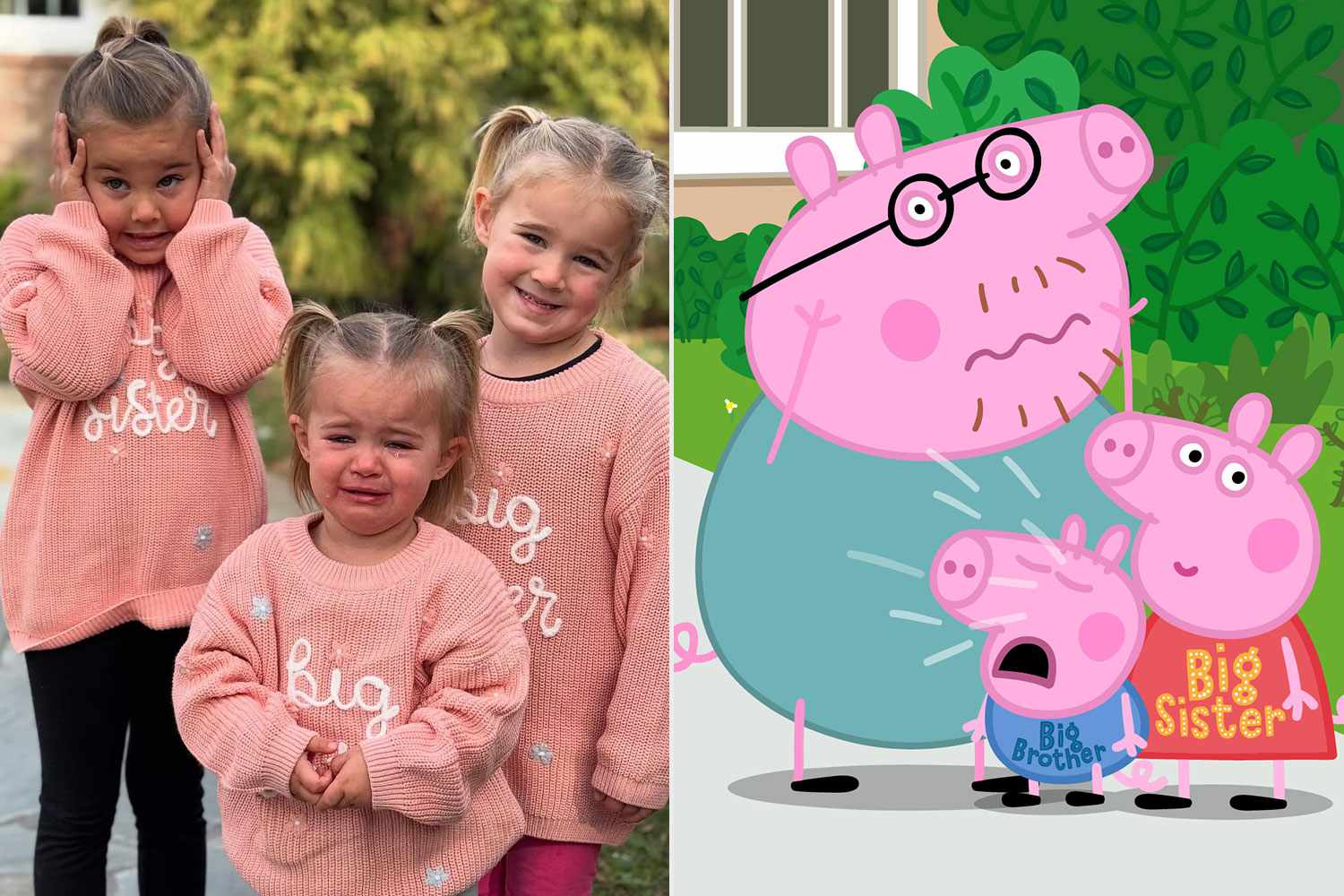 New Addition To The Pig Family: Mummy Pig Announces Baby's Gender New Addition To The Pig Family: Mummy Pig Announces Baby's Gender