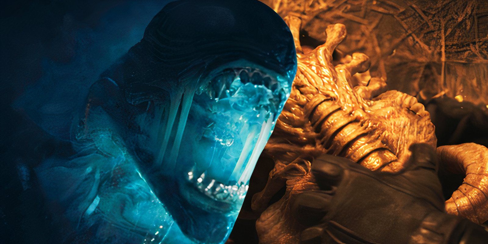 New Alien Film Hints At Xenomorph On Earth (SXSW) New Alien Film Hints At Xenomorph On Earth (SXSW)
