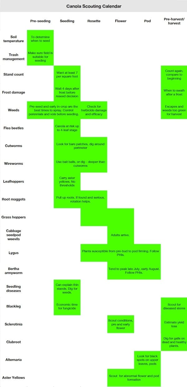 New Canola Suppliers For China: A Look At The Post-Canada Landscape New Canola Suppliers For China: A Look At The Post-Canada Landscape