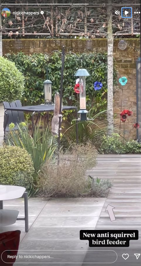 Nicki Chapman's Bespoke Chiswick Garden: An Exclusive Look Nicki Chapman's Bespoke Chiswick Garden: An Exclusive Look