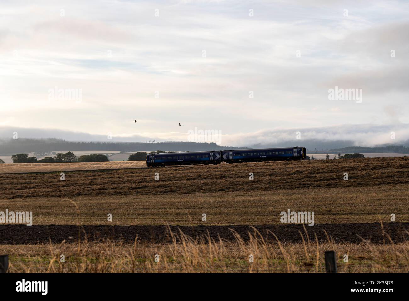 Nieuw Statendam's Invergordon Visit: A Boost For Easter Ross Tourism Nieuw Statendam's Invergordon Visit: A Boost For Easter Ross Tourism
