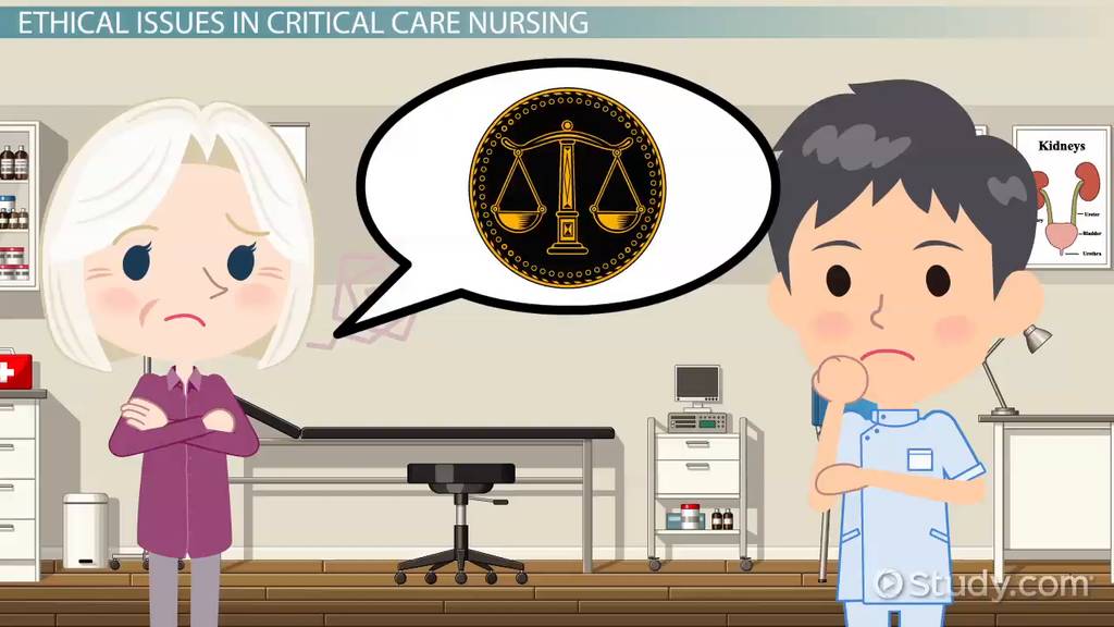 Night Hunter: Legal Aspects And Ethical Considerations Night Hunter: Legal Aspects And Ethical Considerations