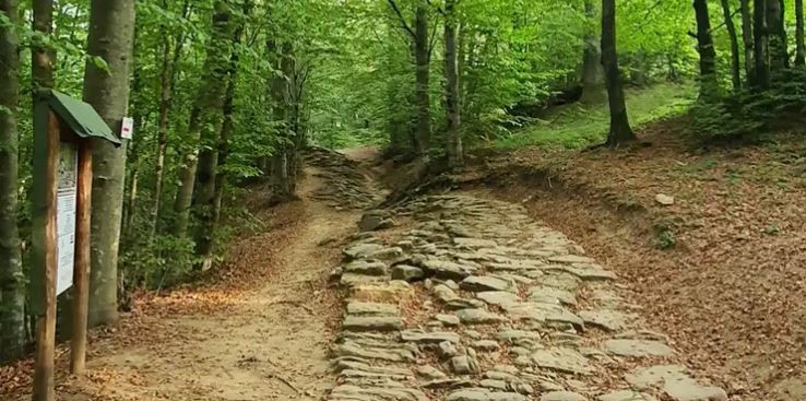 Passo In Avanti Per La Flaminia: Dalla Quinta Alla Seconda Posizione