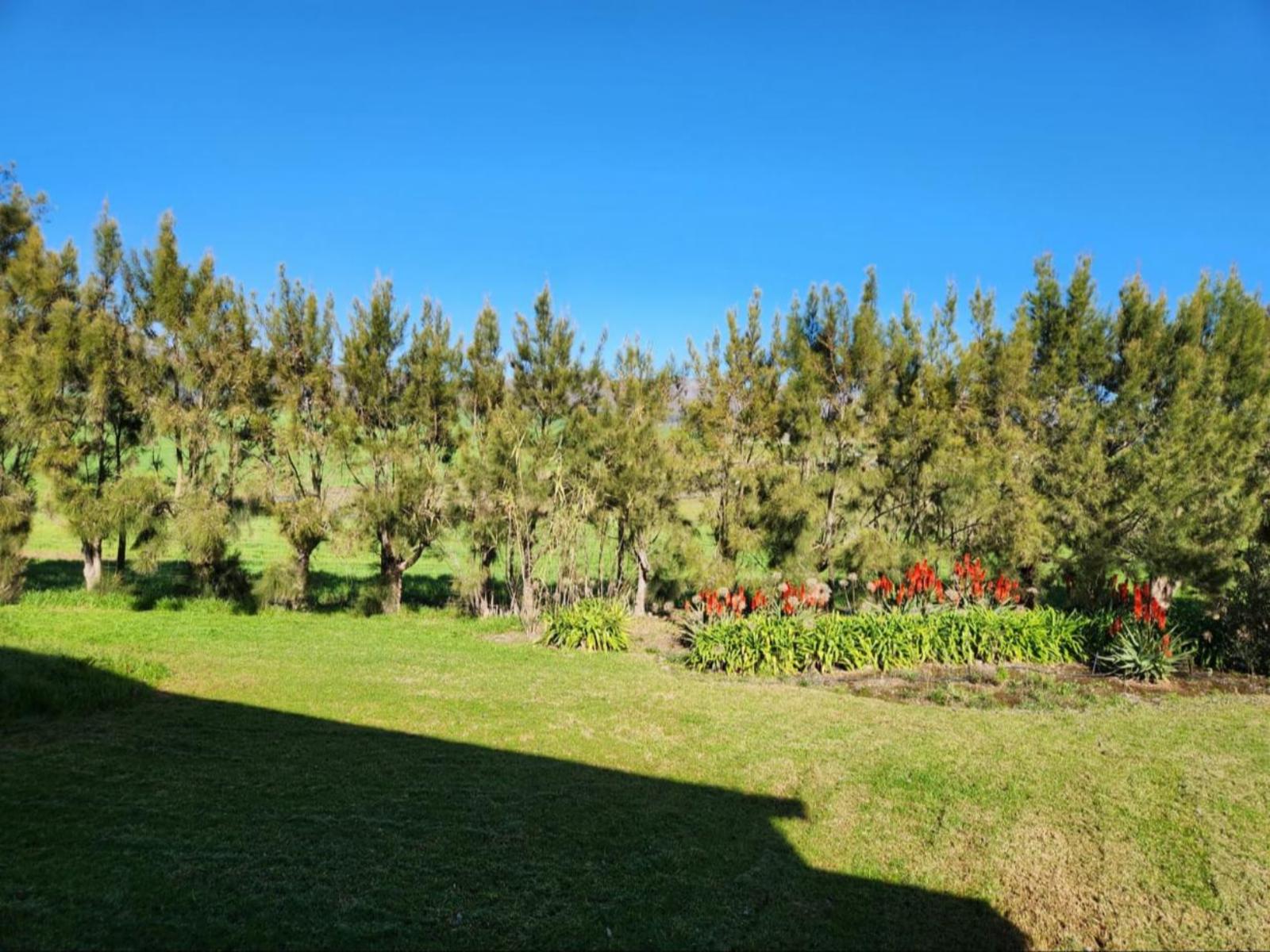 Peaceful Andalusian Farmstay: A Day-to-Day Escape Peaceful Andalusian Farmstay: A Day-to-Day Escape