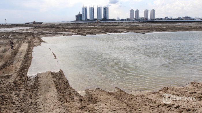 Pembangunan Giant Sea Wall: Peran Swasta Dan Pemerintah Pembangunan Giant Sea Wall: Peran Swasta Dan Pemerintah
