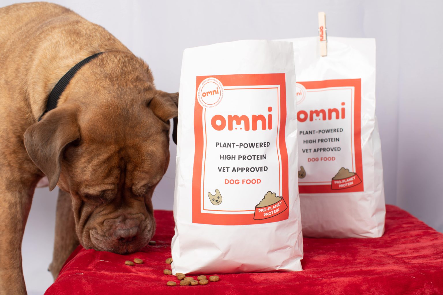 Plant-Based Dog Food Brand Omni Receives Dragon's Den Investment