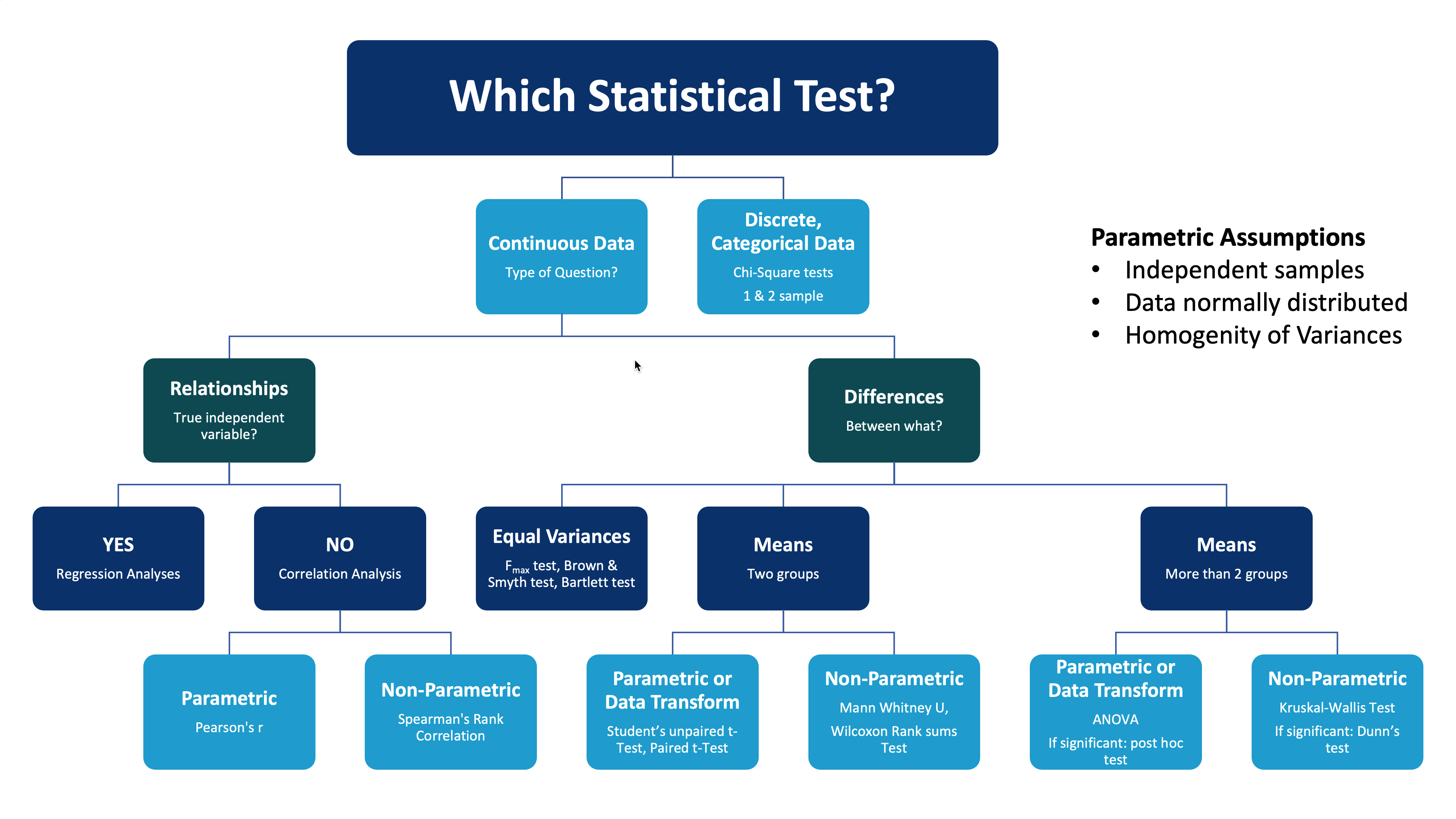 Post-40 Performance In Formula 1: A Statistical Analysis Of Success And Failure