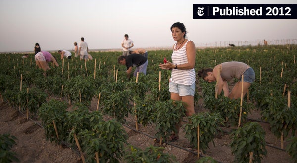 Post-Brexit Economic Hardship Looms Over Spanish Border Towns Post-Brexit Economic Hardship Looms Over Spanish Border Towns