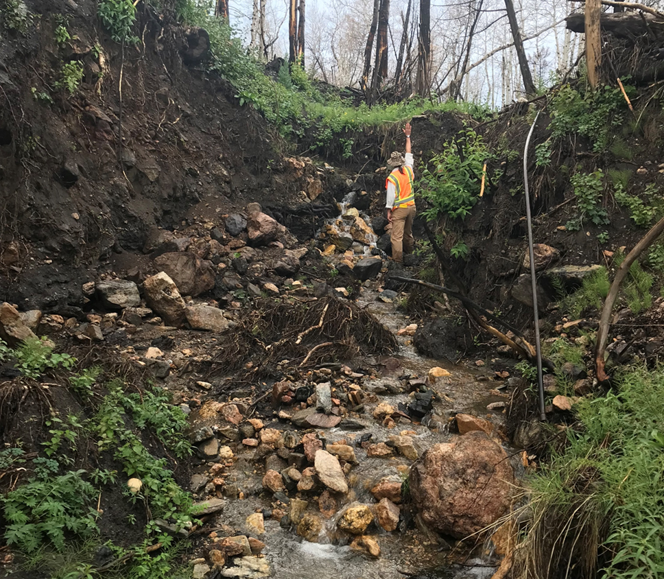 Post-Fire Recovery: Rogart Veterinary Services Now Operating In Tain Post-Fire Recovery: Rogart Veterinary Services Now Operating In Tain