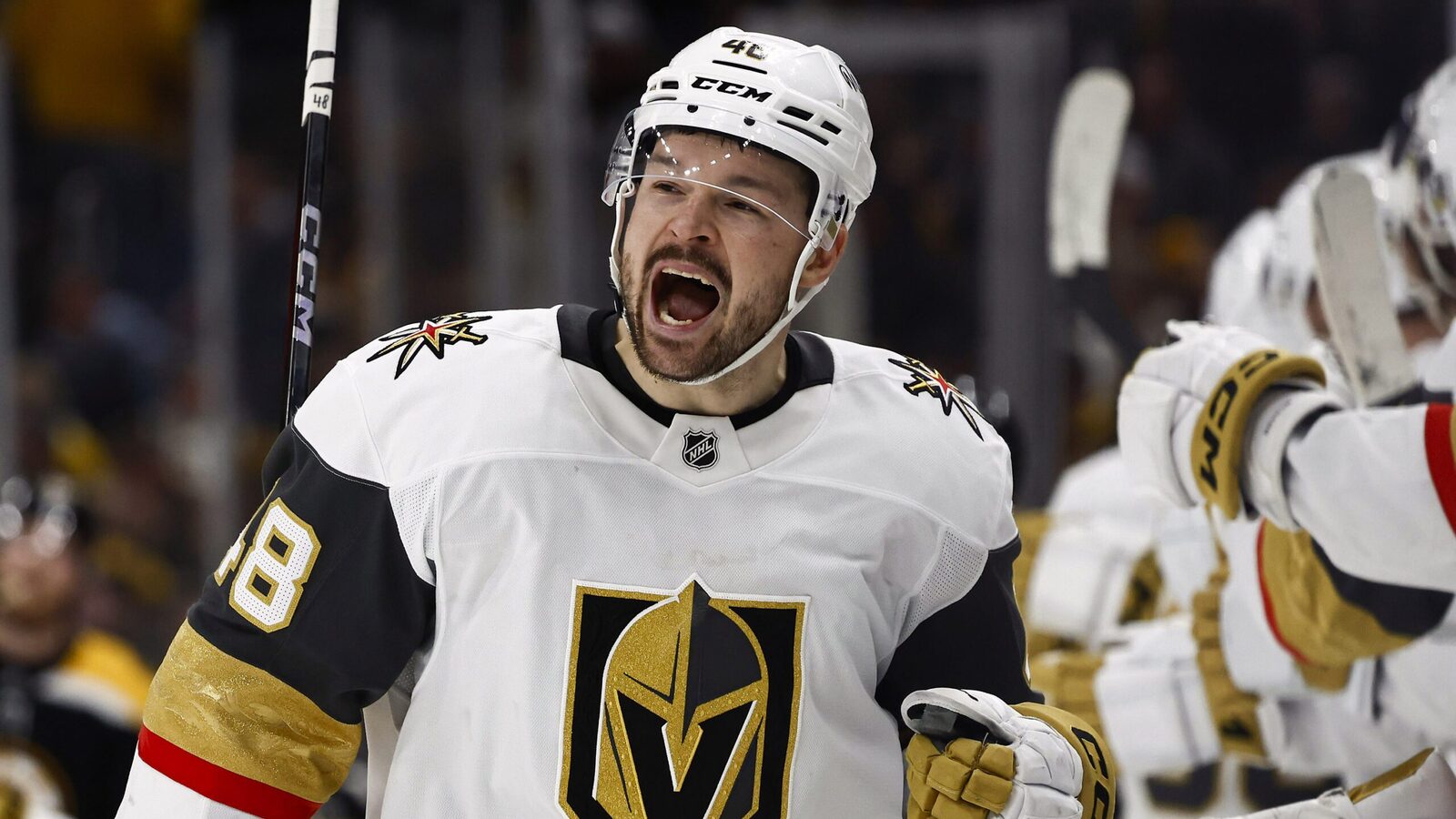 Potential Hertl Absence Looms Large For Golden Knights Potential Hertl Absence Looms Large For Golden Knights